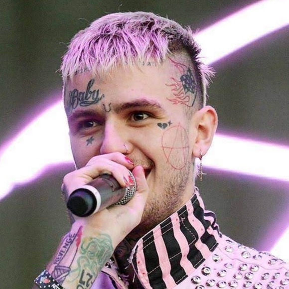 Meet your Posher, Rocky - Picture 1 of 1